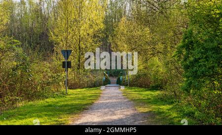 Passerelle au-dessus de la Schwarzbach à Gelsenkirchen-Feldmark, région de la Ruhr, Rhénanie-du-Nord-Westphalie, Allemagne Banque D'Images