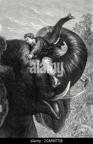 Passespartout pas du tout effrayé. Du livre ' autour du monde dans quatre-vingts jours ' de Jules Verne (1828-1905) traduit par Geo. M. Towle, publié à Boston par James. R. Osgood & Co. 1873 première édition aux États-Unis Banque D'Images