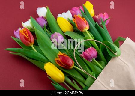 Tulipes multicolores sur fond rouge. Bouquet de printemps. Vue de dessus des fleurs. Magnifique fond de fleur de tulipe. Gros plan sur les tulipes Banque D'Images