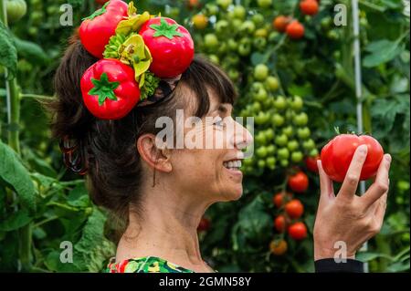 Londres, Royaume-Uni. 20 septembre 2021. The Pennard avec stand de tomates Burpee - le Chelsea Flower Show 2021. Le spectacle a été annulé l'année dernière en raison de l'éclusage du coronavirus. Crédit : Guy Bell/Alay Live News Banque D'Images