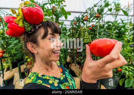 Londres, Royaume-Uni. 20 septembre 2021. The Pennard avec stand de tomates Burpee - le Chelsea Flower Show 2021. Le spectacle a été annulé l'année dernière en raison de l'éclusage du coronavirus. Crédit : Guy Bell/Alay Live News Banque D'Images