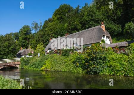 Angleterre, Hampshire, Test Valley, Wherwell, maison de campagne traditionnelle de chaume et River Test Banque D'Images