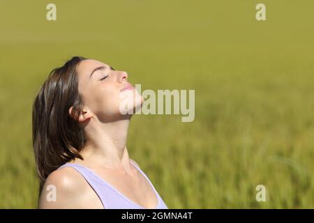 Profil d'une femme respirant de l'air frais dans un champ de blé un jour ensoleillé Banque D'Images