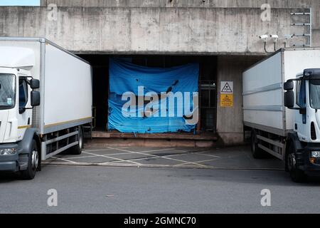 Camions HGV blancs non marqués garés dans les locaux logistiques de l'entrepôt sur le site des hôpitaux Exeter. Banque D'Images