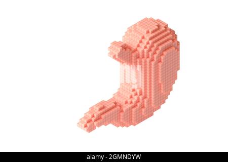 Human stomach made of many cubes. 3d illustration of stylized blocky anatomy of human stomach Banque D'Images