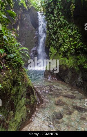 Petite chute d'eau dans la réserve de la forêt nuageuse de Nambillo près de Mindo, en Équateur. Banque D'Images