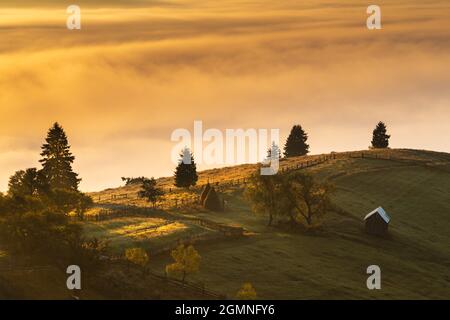 Paysage de montagne avec brouillard matinal, au bord de la forêt, dans le village roumain Banque D'Images