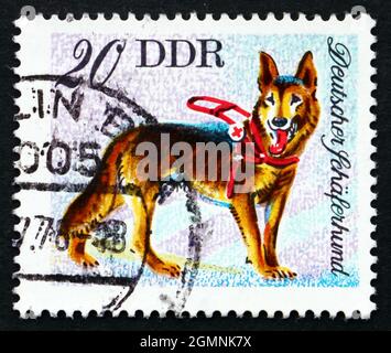 RDA - VERS 1976 : un timbre imprimé en RDA montre le Berger allemand, chien, vers 1976 Banque D'Images