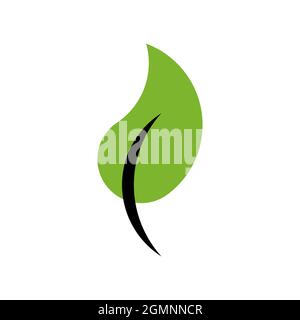 Feuille vectorielle de style Golden ratio. Illustration modifiable Illustration de Vecteur