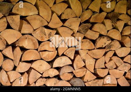 Les billes de bois s'empilent en bon ordre pour l'hiver Banque D'Images