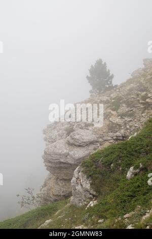 Pentes de Stony de la montagne ai-Petri dans un brouillard dense. La pente est surcultivée avec de l'herbe. Banque D'Images