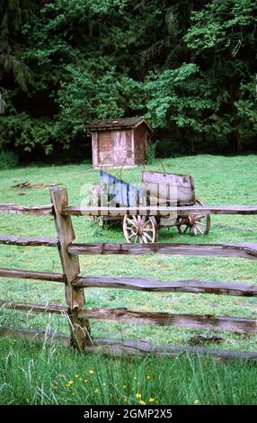 Photo verticale d'un ancien chariot abandonné dans un parc Banque D'Images