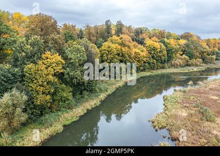 vue aérienne de haut en bas de la forêt d'automne colorée et de la petite rivière Banque D'Images