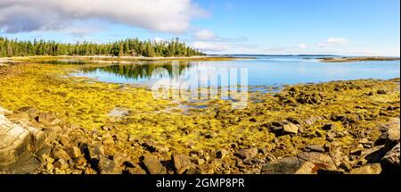 Vue panoramique sur la côte du parc national Acadia dans le Maine à marée basse Banque D'Images