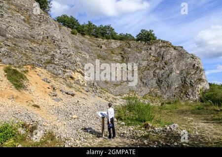 France, Yonne, Canal du Nivernais, Mailly le Château, Réserve naturelle nationale du Bois du Parc, falaise ancrée dans un important massif de corail jurassique Banque D'Images