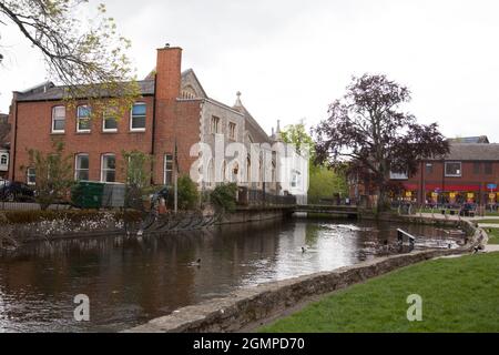 Vue sur la rivière Anton à travers le centre-ville d'Andover dans le Hampshire au Royaume-Uni Banque D'Images