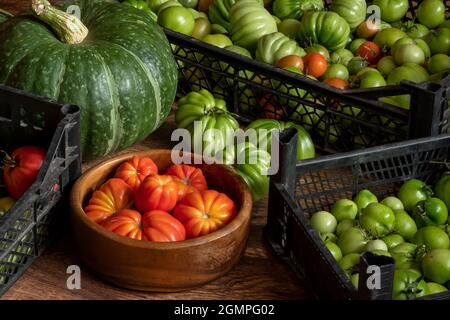 récolte de tomates mûres et non mûres en caisses, potiron et panier avec des noisettes empilées sur le sol Banque D'Images