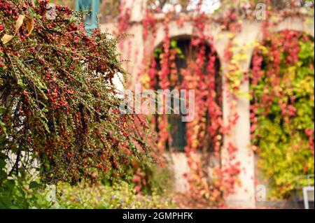 Automne à Vienne détail escalier Strudlhofstiege Banque D'Images