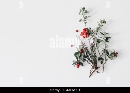 Composition florale d'automne. Branche de bruyère pourpre en fleur et baie de lingonberry avec baies rouges isolées sur fond de table blanche. Montagne saine Banque D'Images