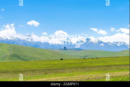 Plateau Assy au Kazakhstan près de la ville d'Almaty.Vue sur l'observatoire de haute montagne et les animaux en pâturage Banque D'Images