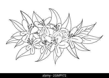 Illustration vectorielle des fleurs en fleurs dans un style d'art en ligne. Illustration de Vecteur