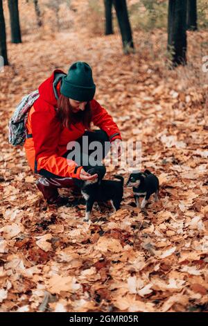 Randonnée avec le chien, UNE jeune fille en uniforme de sport marche avec deux chiots dans les montagnes dans la forêt d'automne. Femme avec parapluie transparent Banque D'Images