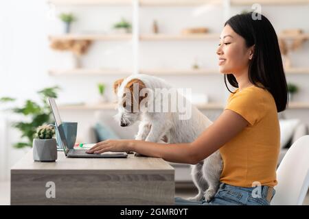 Chiot drôle aidant sa mère à travailler de la maison Banque D'Images
