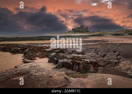 Château de Bamburgh Northumberland à marée basse avec coucher de soleil spectaculaire Banque D'Images