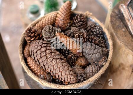 Cônes naturels d'épicéa et de pin dans un panier en osier Banque D'Images