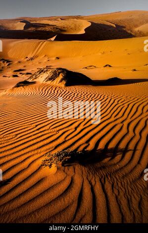 Paysage de dunes de sable chaud du désert d'Atacama, Chili Banque D'Images