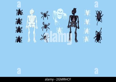 Deux squelettes en plastique, blanc et noir, insectes, mouche, araignée sur fond bleu. Carte d'Halloween. Copier l'espace. Banque D'Images