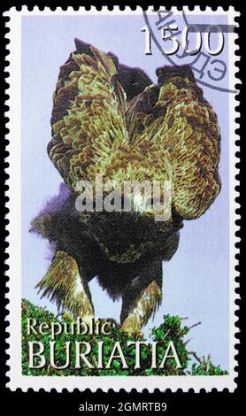 MOSCOU, RUSSIE - 6 NOVEMBRE 2019 : timbre-poste imprimé à Cendrillon montre Falcon, série Buriatia Russie, vers 1997 Banque D'Images