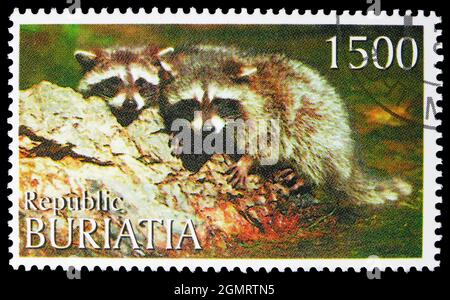 MOSCOU, RUSSIE - 6 NOVEMBRE 2019 : timbre-poste imprimé dans Cendrillon montre Raccoon, série Buriatia Russie, vers 1997
