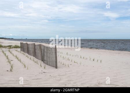 Restauration de dunes de sable, construction de dunes et clôtures de sable sur la côte du golfe du Mississippi, États-Unis. Banque D'Images