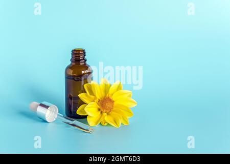 Huile essentielle dans un flacon compte-gouttes brun ouvert avec pipette en verre couchée et fleur jaune sur fond bleu. Concept naturel bio beauté cosmétiques pro Banque D'Images