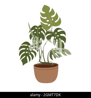 Monstera dans un pot de fleurs isolé sur blanc. Illustration de Vecteur