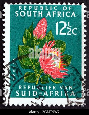 AFRIQUE DU SUD - VERS 1961: Un timbre imprimé en Afrique du Sud montre Protea Flower, vers 1961 Banque D'Images