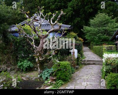 Kumano Kodo, péninsule de Kii, Japon Banque D'Images