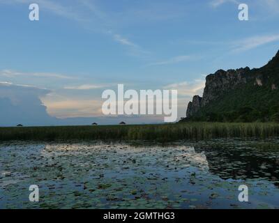 Belle montagne sur la vaste terre humide et roseau verte au parc national Khao Sam Roi Yot , Pavillon et ponts dans le marais à distance , Thaïlande Banque D'Images