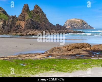 Otago, Nouvelle-Zélande South Island - 26 février 2019 Allans Beach est magnifique, déserte et a des niveaux cosmiques de surf. Face au puissant Océan Pacifique Banque D'Images