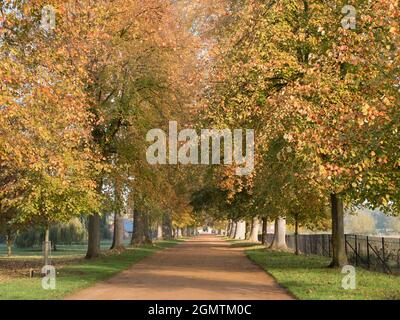 Oxford, Angleterre - 19 octobre 2018 ; le Christ Church College de l'Université d'Oxford, en Angleterre, est l'un des plus anciens et des plus grands collèges. Son gro étendu Banque D'Images