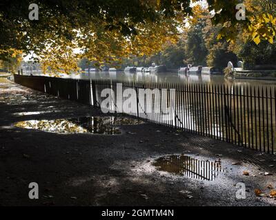 Oxford, Angleterre - 6 novembre 2017 cette vue sur la Tamise à l'automne est le point de départ de ma promenade préférée à Oxford, Angleterre; elle commence ici à la fin Banque D'Images