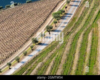 La pittoresque vallée du Douro, qui s'étend de la côte atlantique à Porto jusqu'au centre de l'Espagne, a été la première région viticole désignée au monde Banque D'Images