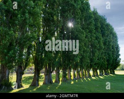 Abingdon, Angleterre - 20 mai 2020 ; pas de personne en balle. Abbey Fields est un parc public adjacent à la Tamise à Abingdon, dans l'Oxfordshire. Il prend ses Banque D'Images