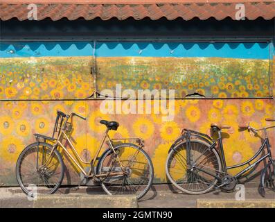 Amsterdam, pays-Bas - 28 mai 2016; étrange juxtaposition - fresque avec tournesols sur un hangar à vélos. C'est ce qui a été remarqué Banque D'Images