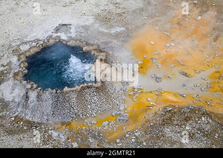 Yellowstone, Wyoming États-Unis - mai 2008 ; largement reconnu comme le premier parc national du monde, Yellowstone s'étend de certaines parties du Wyoming au Montana Banque D'Images