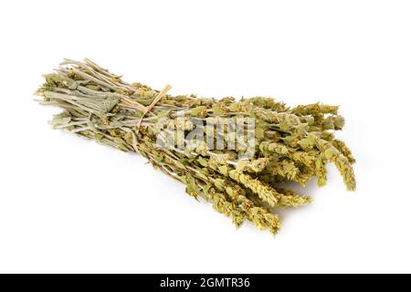 Bouquet de thé grec de montagne isolé sur blanc Banque D'Images