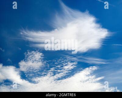 Oxford, Angleterre - 25 octobre 2017 un paysage nuageux saisissant au-dessus d'Oxford, avec des sentiers de cirrus, d'altocirrus et de vapeur. Les nuages Cirrus - vus ici - ont un caractère Banque D'Images