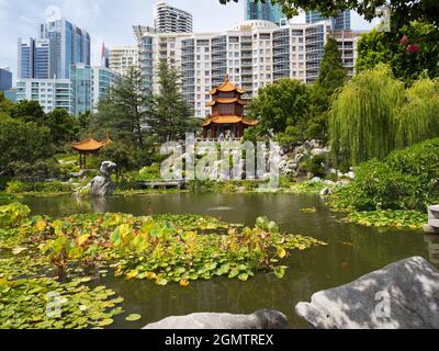 Sydney, Australie - 16 février 2019 Le jardin chinois de l'amitié est un jardin chinois classique situé à Chinatown, Sydney, en Australie. Mode Banque D'Images