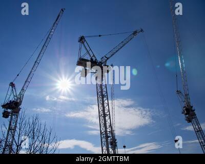 Ces grues mammouth sont toutes à l'œuvre dans le projet de développement géant de Westgate à Oxford. Retardée de nombreuses années par la récession financière, elle est maintenant la fina Banque D'Images